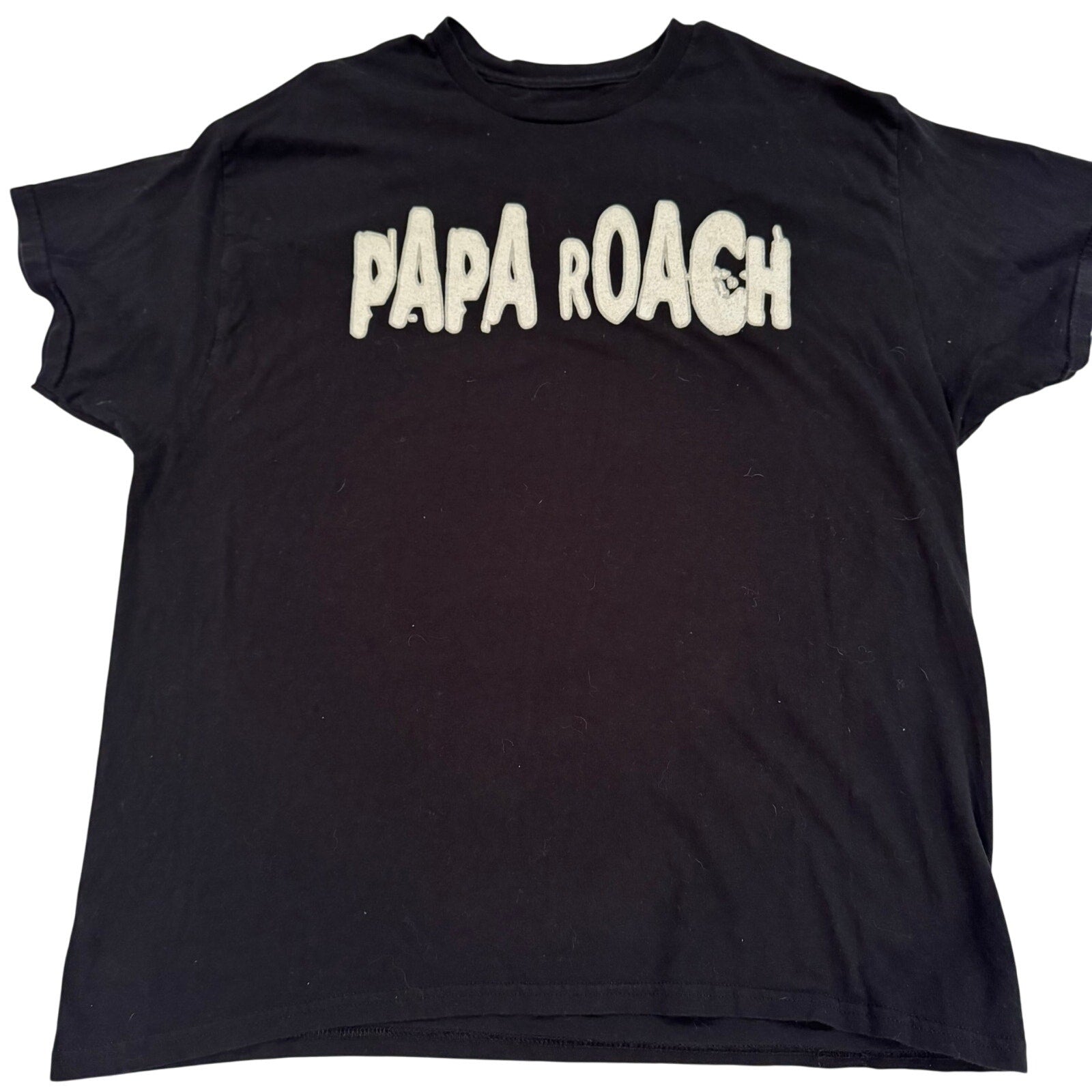 Vintage Papa Roach Band T-Shirt