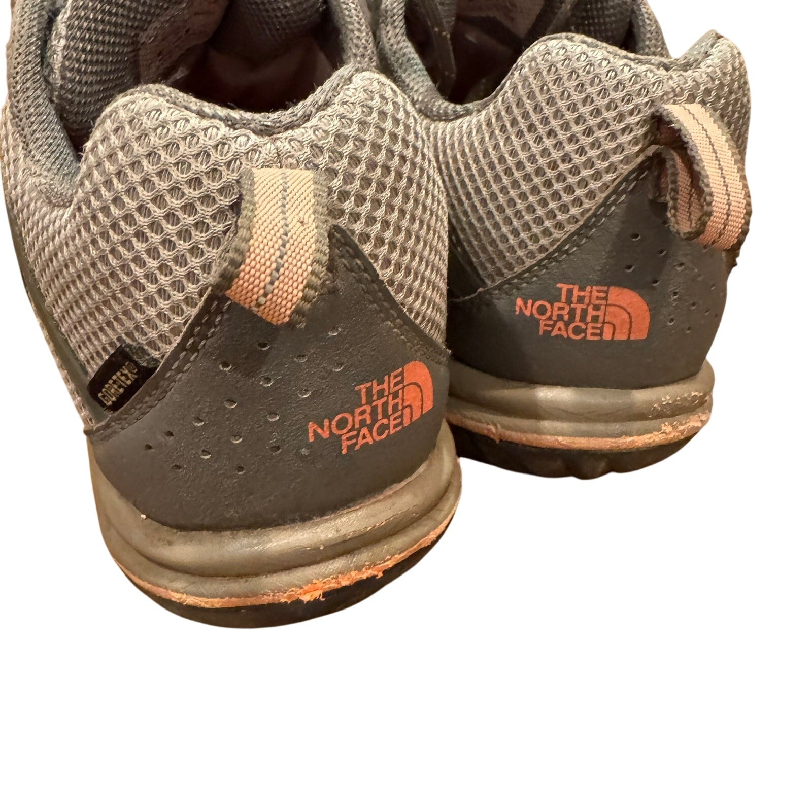 North Face Gore Tex Hedgehog Shoes