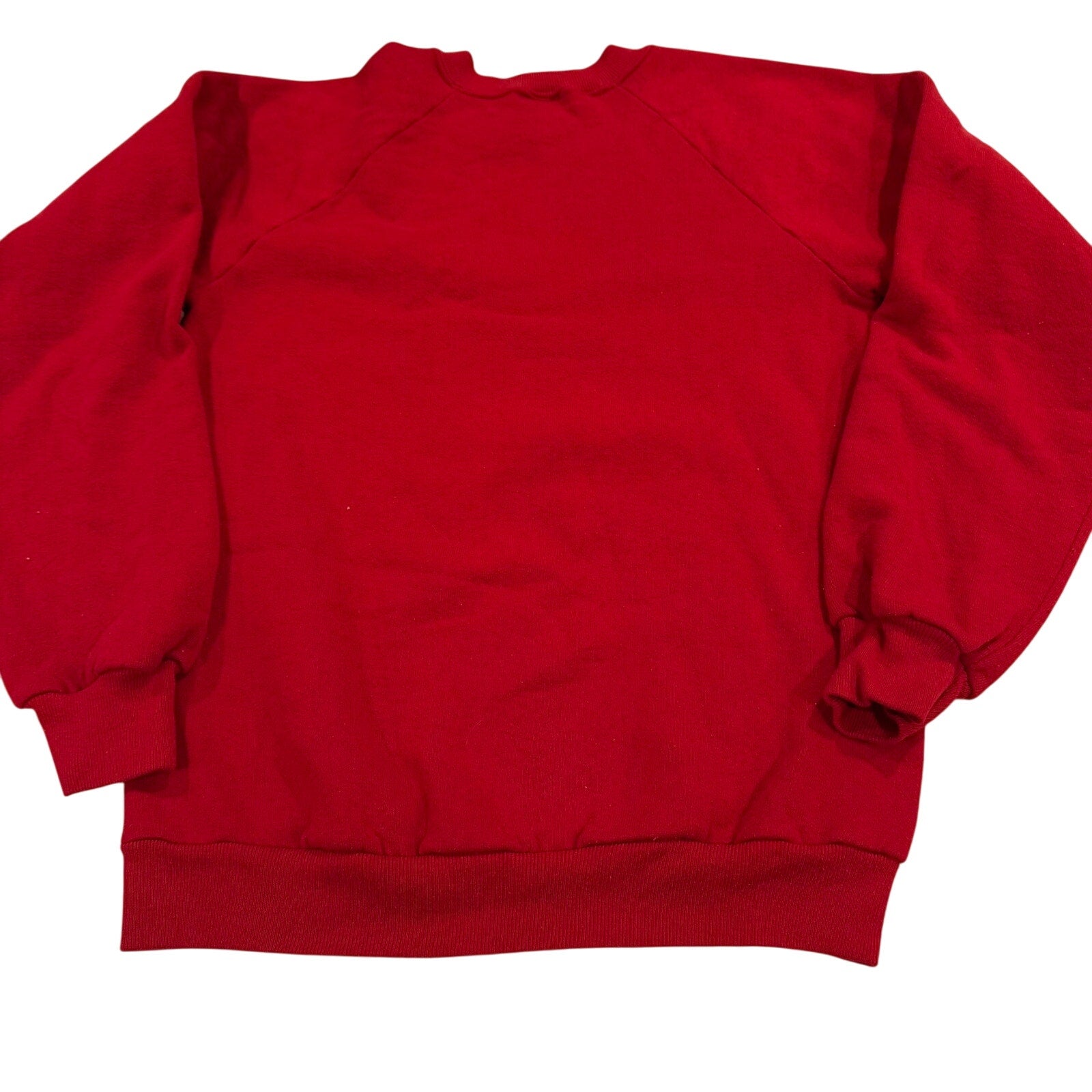 Vintage Thunder Dragons Jerzees Sweatshirt
