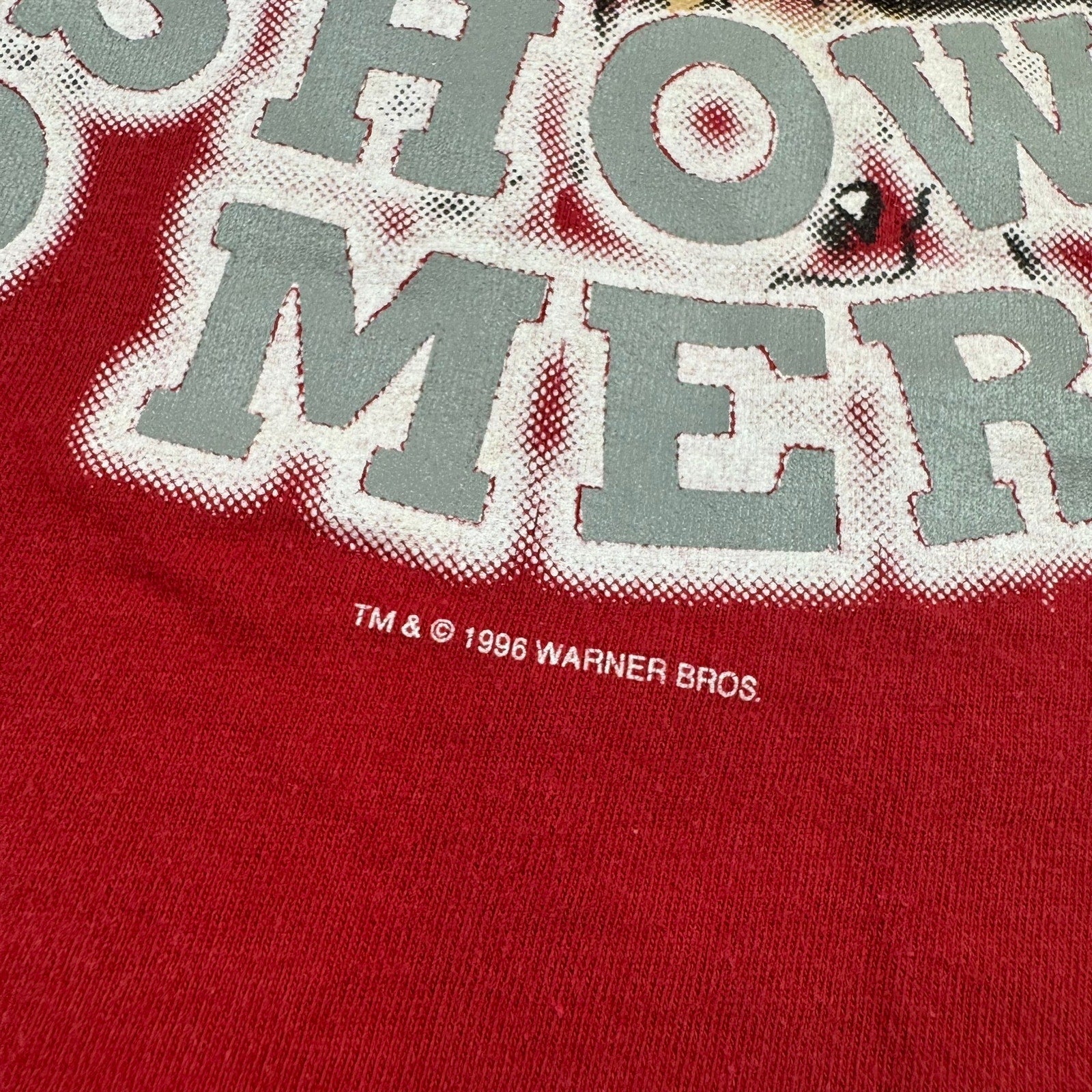 Vintage 1996 Taz Looney Tunes Alabama Tank Top