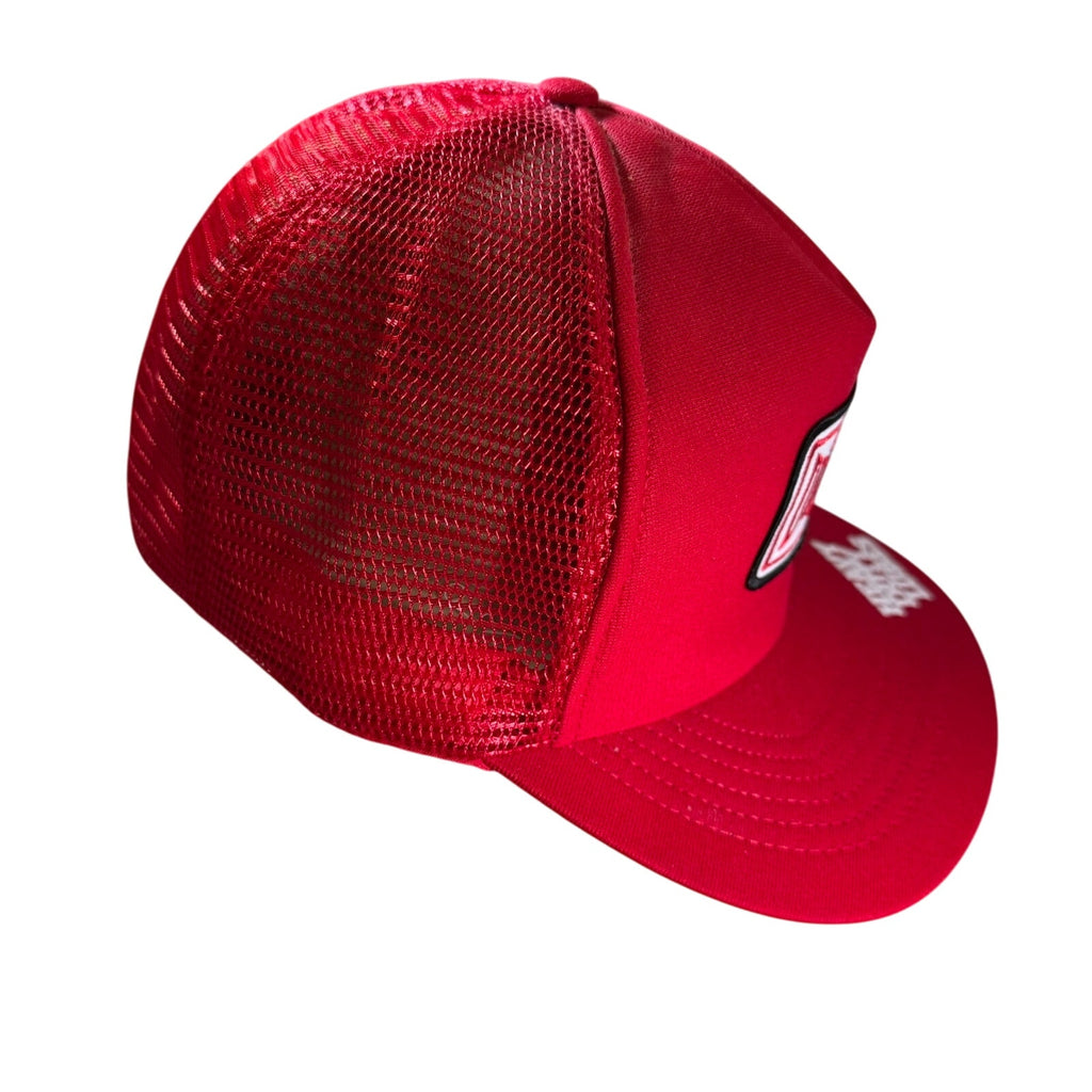 Vintage Drydene Trucker Hat