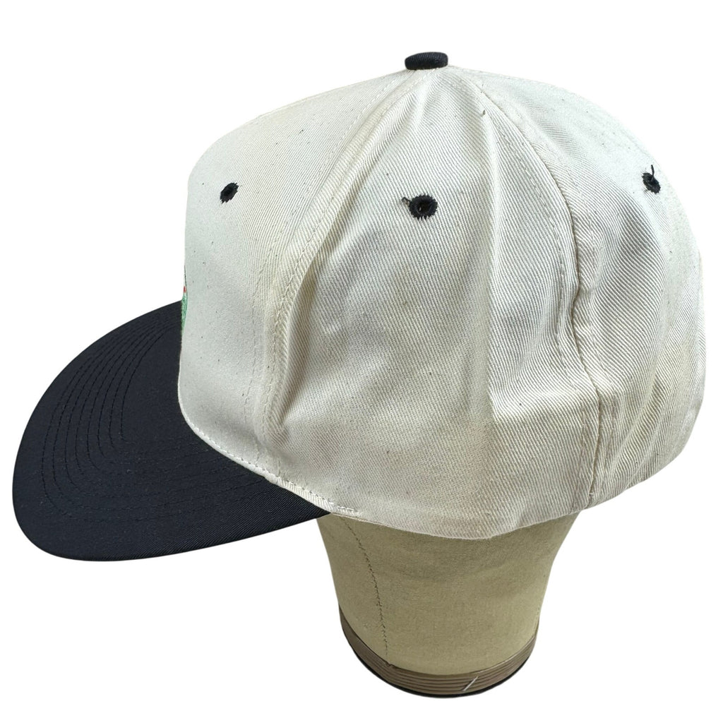 Vintage DARE Snapback Hat - Drug Abuse Resistance Ed.