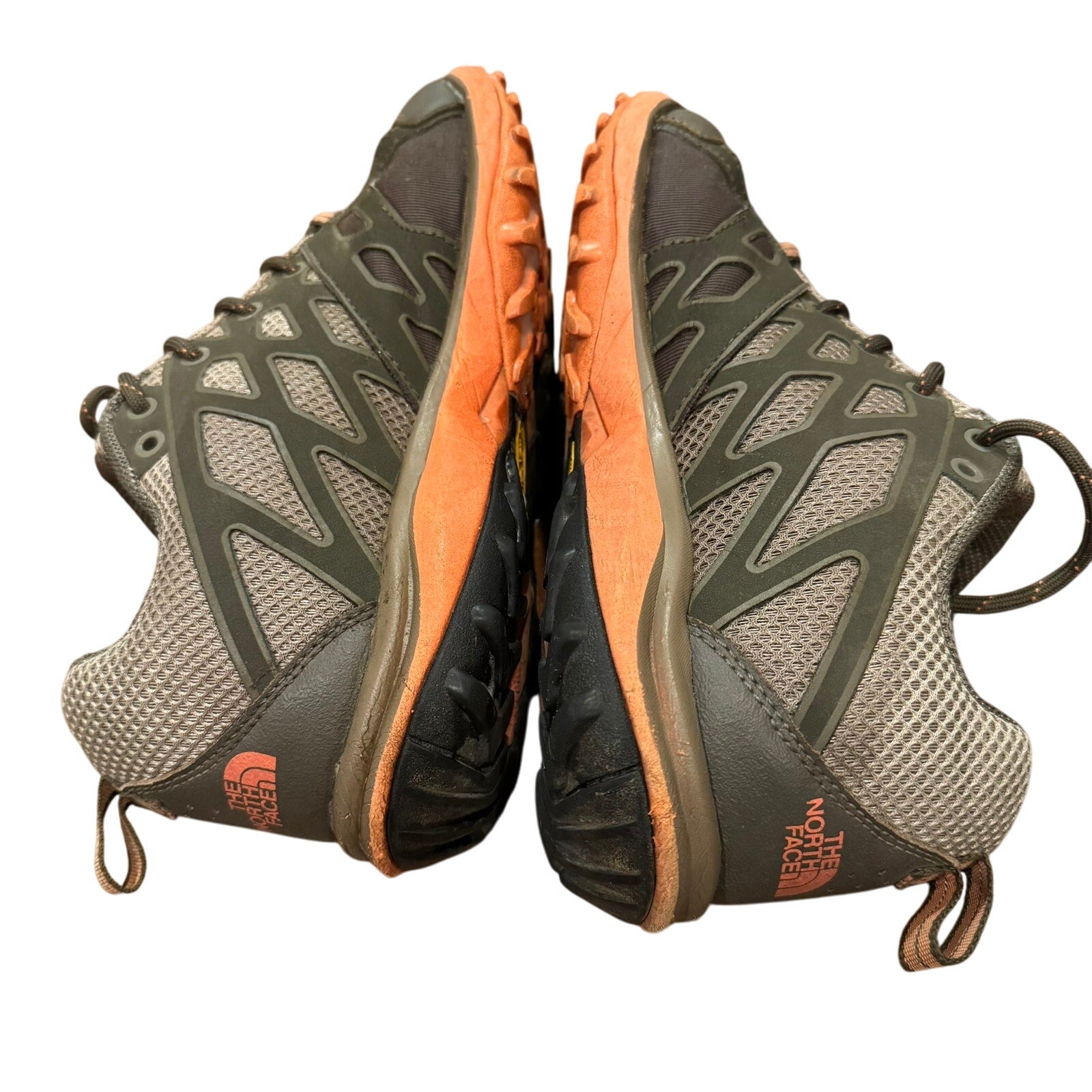 North Face Gore Tex Hedgehog Shoes